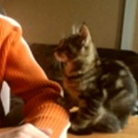 Barad